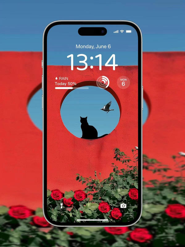 4K HD Wallpaper Background- Cat and Bird for iPhone and Android