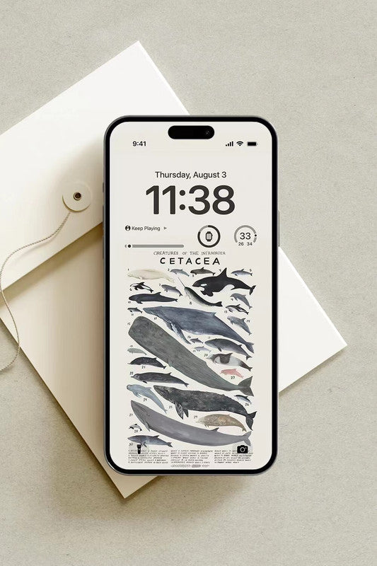 4K HD Wallpaper Background - The Shark Family for iPhone and Android