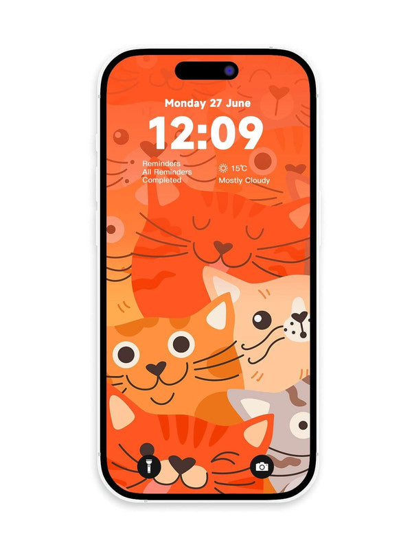 Original 4K HD Wallpaper - Cat2