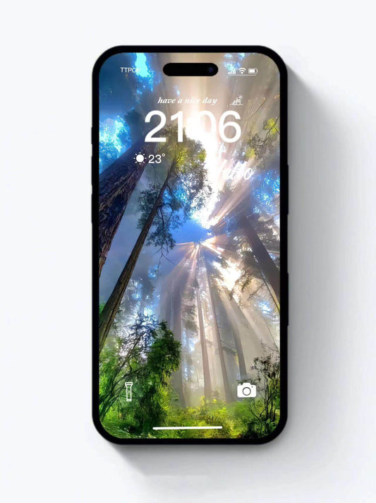 Fond d'écran 4K HD - Bonjour forêts pour iPhone et Android 