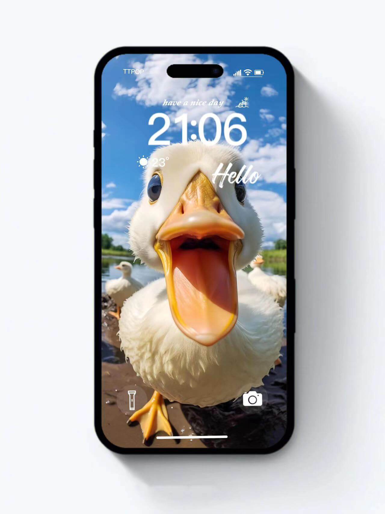 Original 4K HD Wallpaper Background aesthetic ideas - Hello baby duck