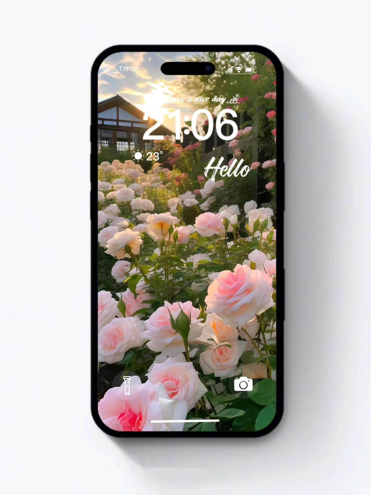 4K HD Wallpaper Background - Hello Flowers for iPhone and Android